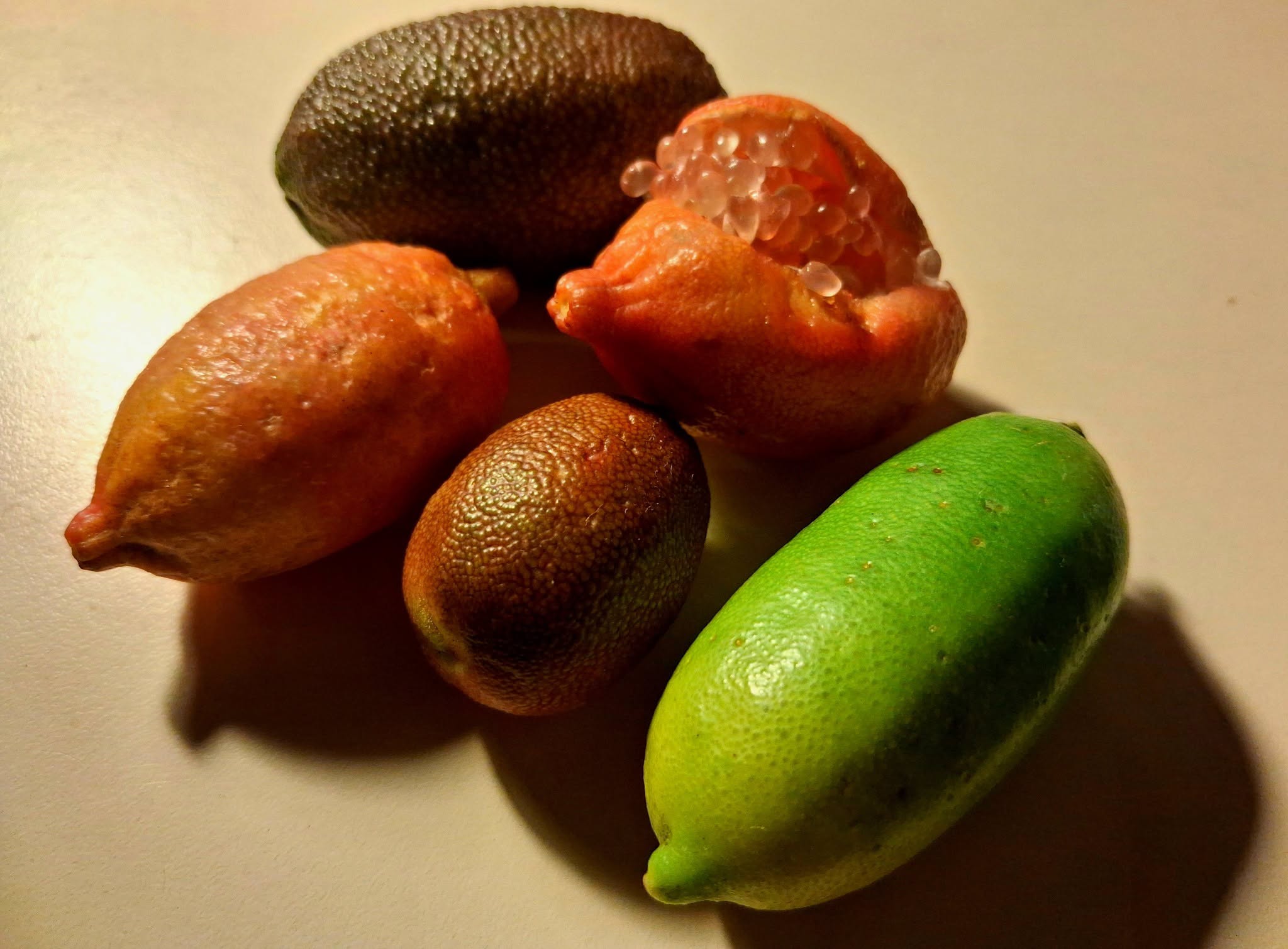 CITRON CAVIAR.jpg (215 KB)