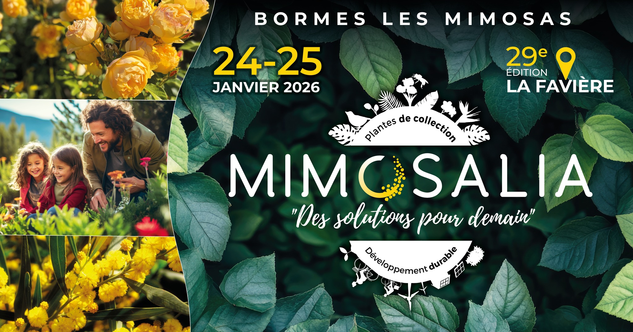 MIMOSALIA 2026.jpg (610 KB)