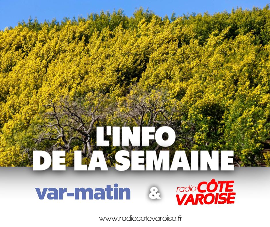 PIC INFO SEMAINE 04 MIMOSAS.jpg (193 KB)