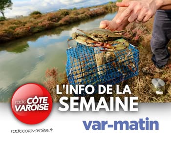 PIC INFO SEMAINE 17 ESPECES INVASIVES 2026.jpg (26 KB)