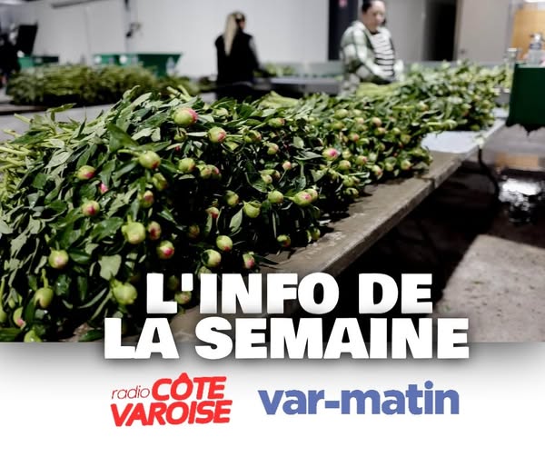 PIC INFO SEMAINE 180426.jpg (54 KB)