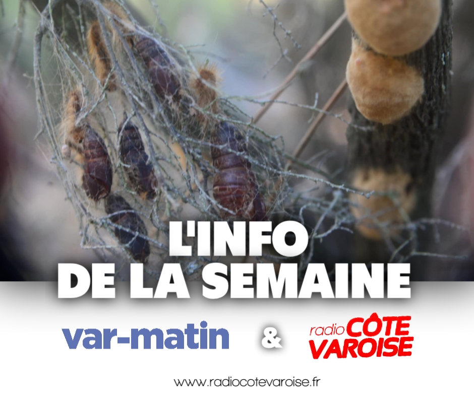 PIC INFO SEMAINE 28.jpg (335 KB)
